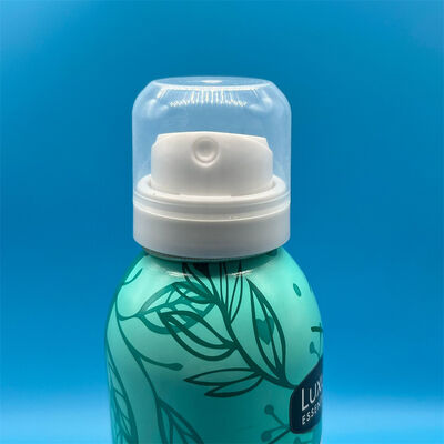 Купить Вентиль для разбрызгивания сухого шампуня, улучшающий пользовательский опыт с стабильной производительностью Производство в сети