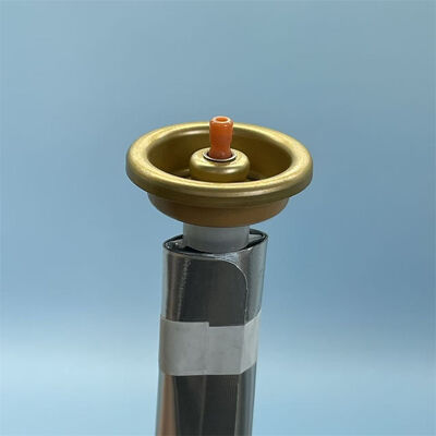 Custom Bag-on-Valve (BOV) Solutions for Aluminum Aerosol Cans